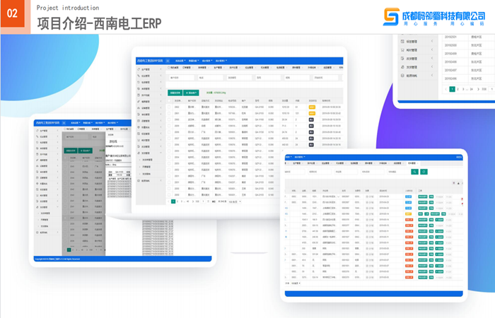 西南電工-ERP系統(tǒng)